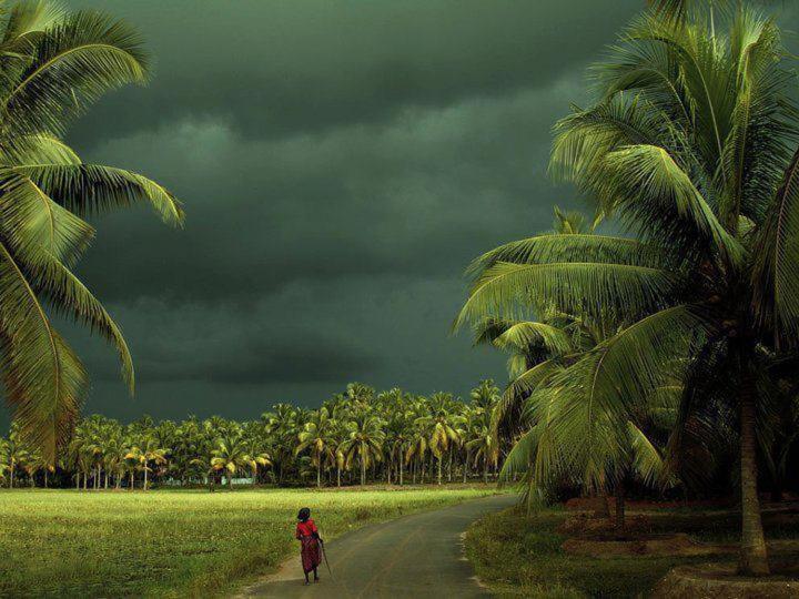 Hotel Oceana Hills Residency Alappuzha Esterno foto