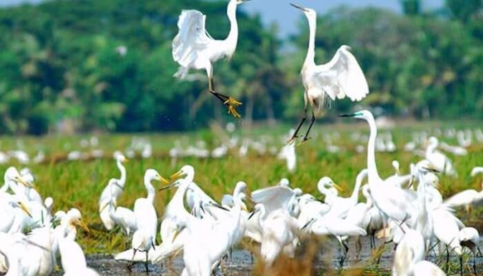 Hotel Oceana Hills Residency Alappuzha Esterno foto